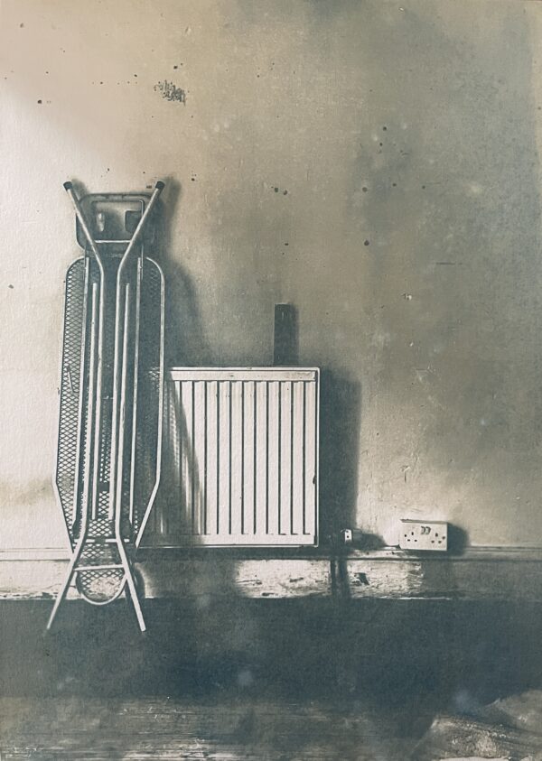 Botanically toned cyanotype