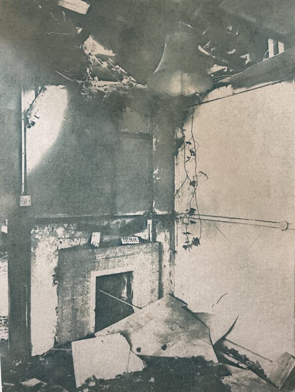 Botanically toned cyanotype