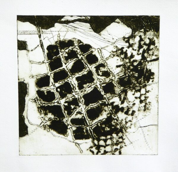Collagraph